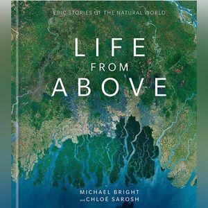 Life from Above - by Michael Bright & Chloe Sarosh (Hardcover)
